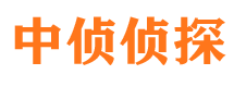 二七市侦探调查公司